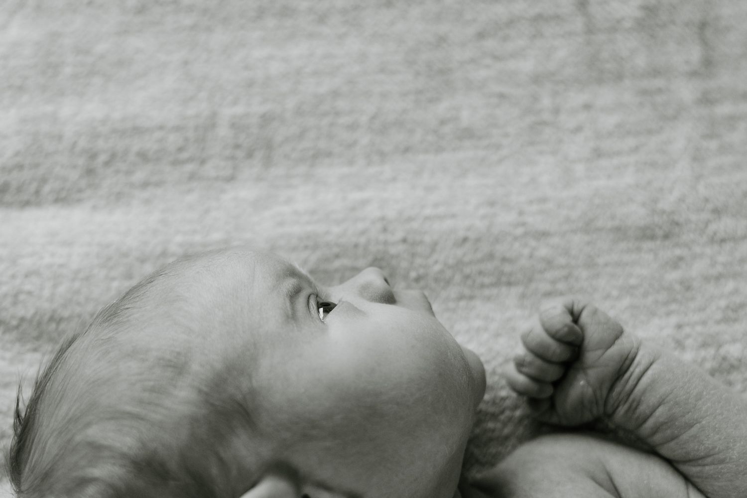 Newborn Photography - Green River, WY