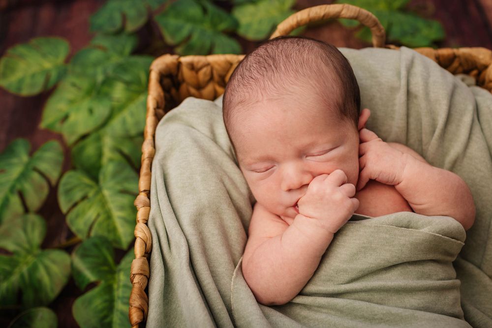 Sleeping newborn in beige wrap lies peacefully in wicker basket with green leaves in background. Captured by Lynette Matthews Photography