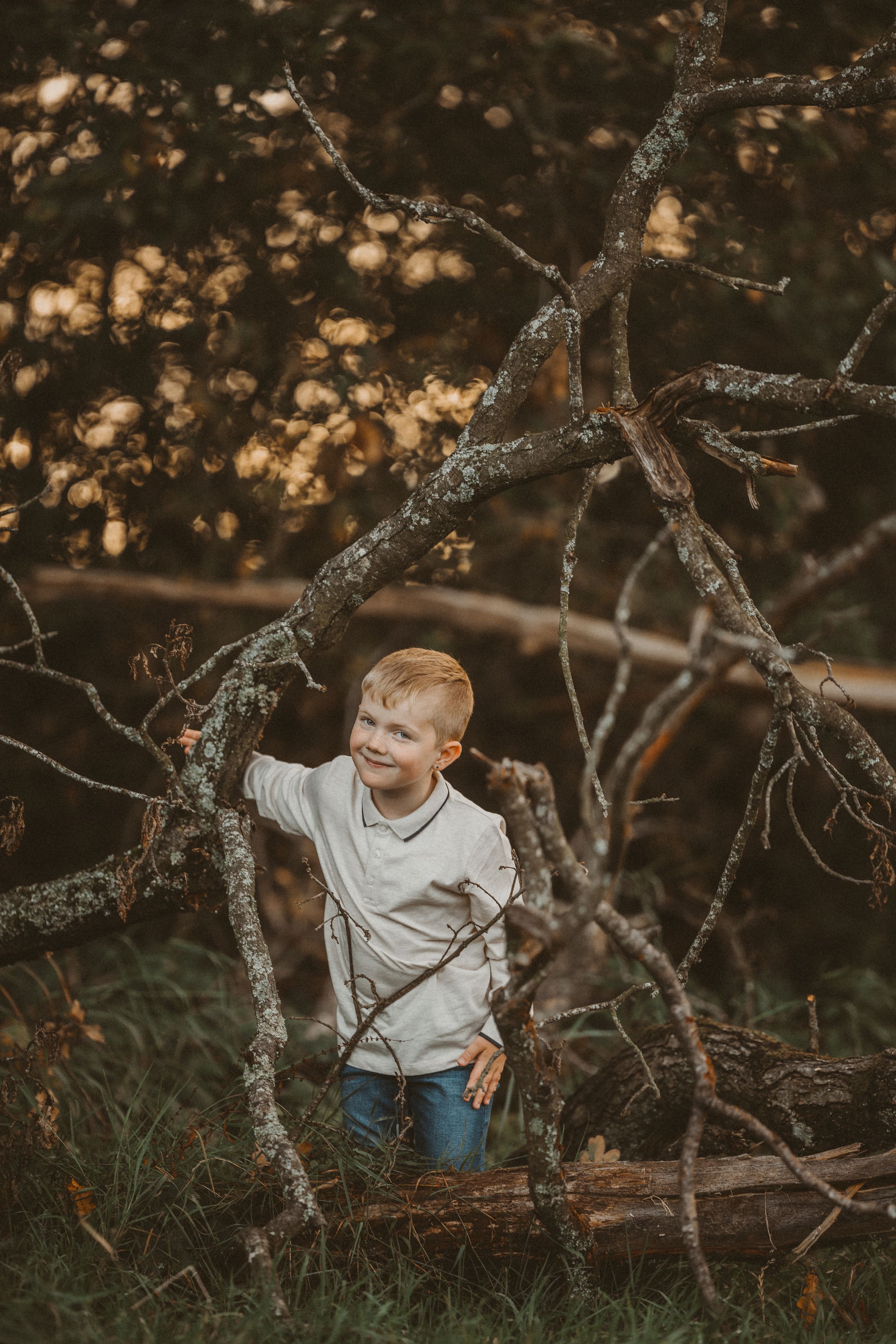A child plays among twisted tree branches at sunset in a moody autumn setting with bokeh lighting effects.