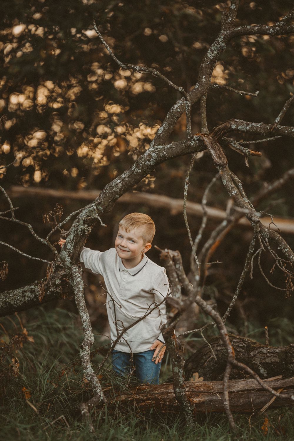 A child plays among twisted tree branches at sunset in a moody autumn setting with bokeh lighting effects.