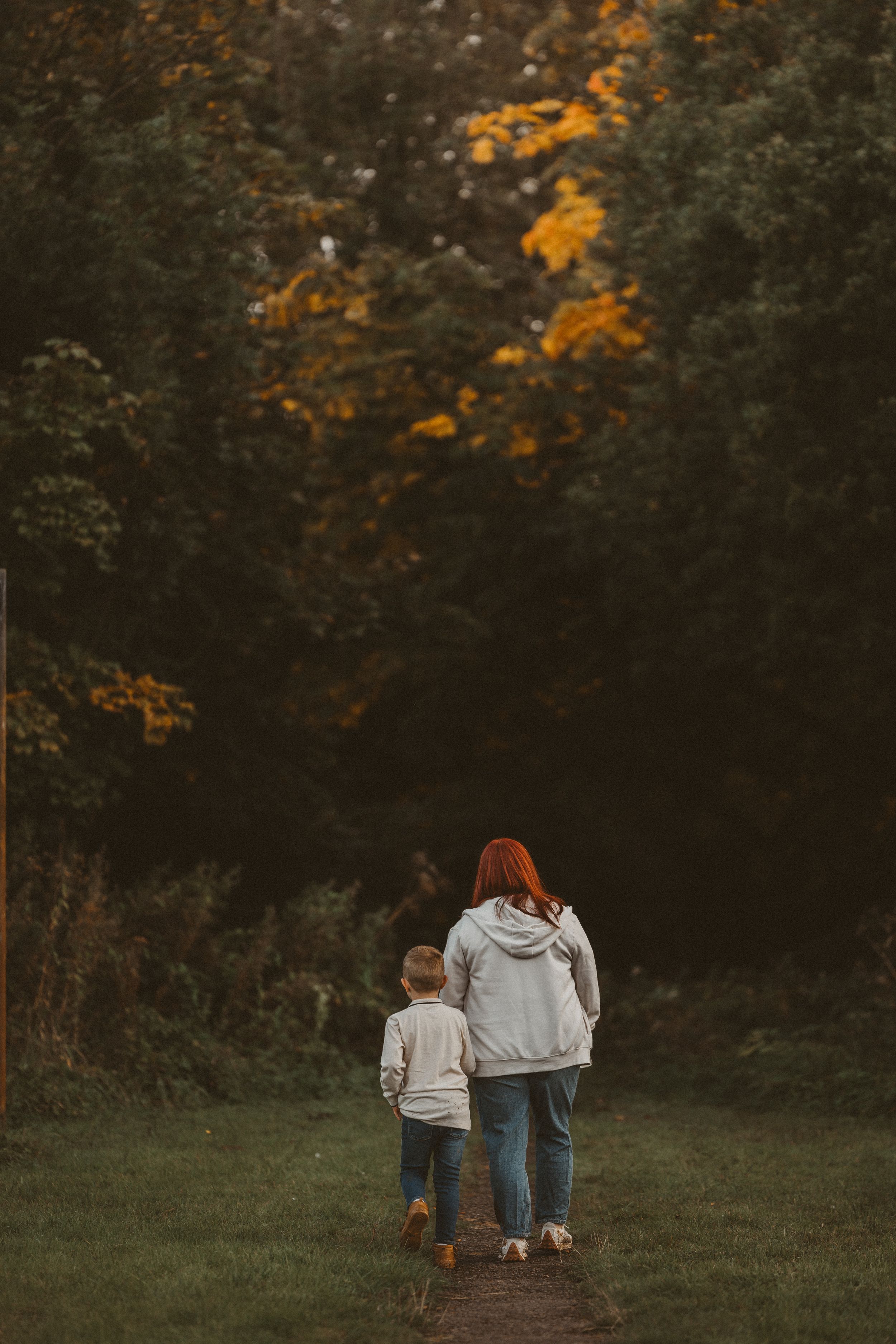 A peaceful autumn scene shows two figures walking down a wooded path surrounded by trees with golden foliage.