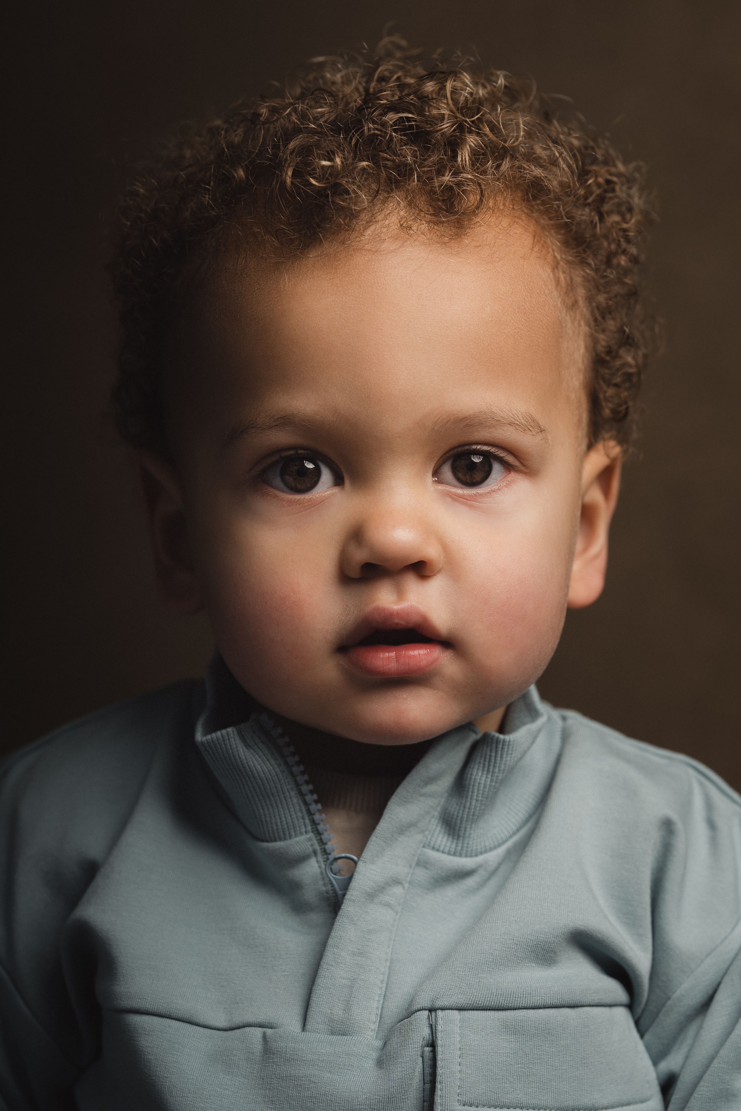 Fox- Studio portraits