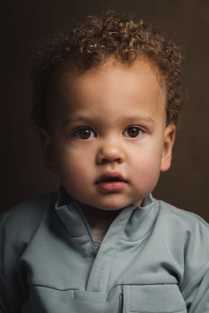 Fox- Studio portraits