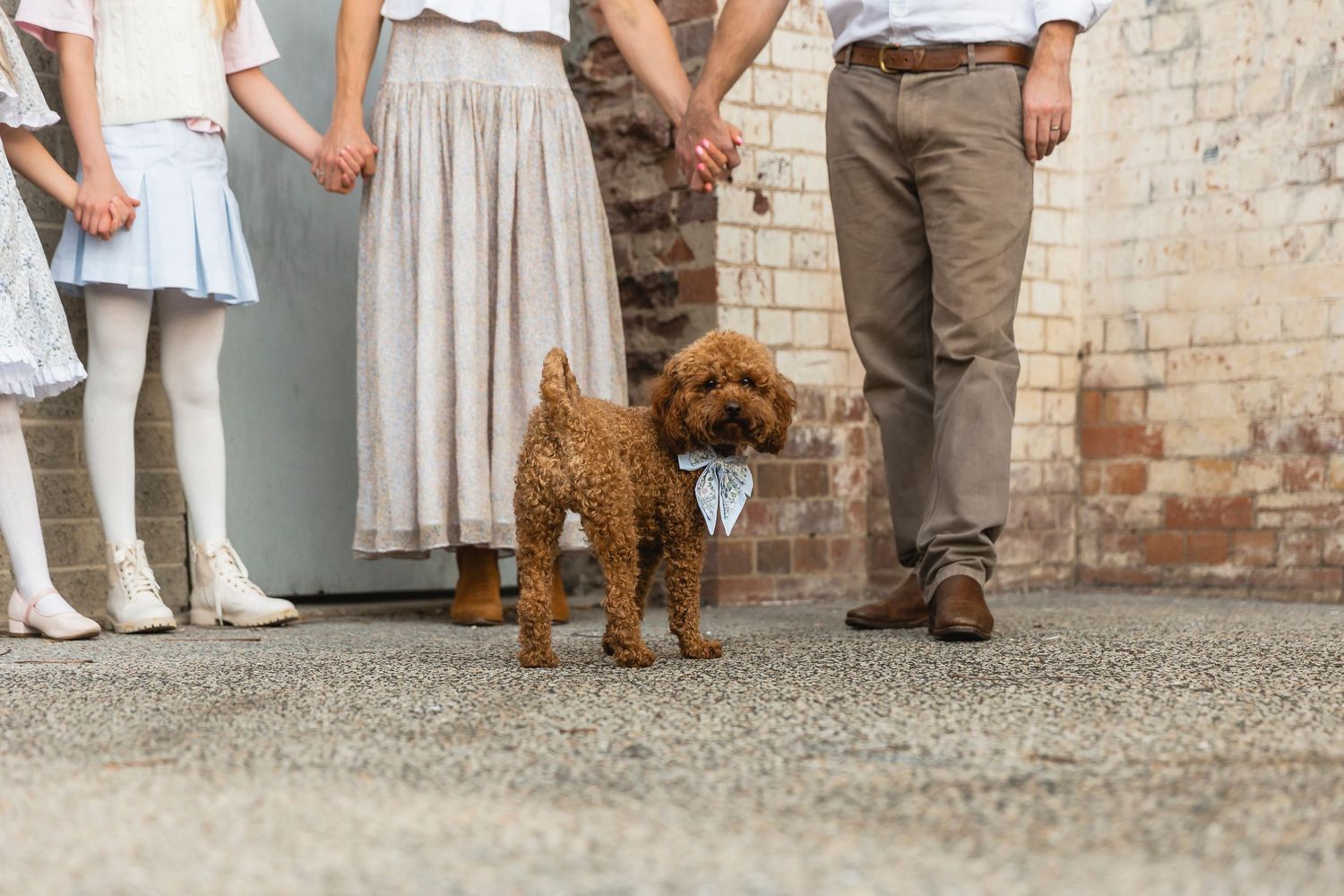 Mother and daughter walking hand in hand during a family photo shoot in local Ashgrove park
