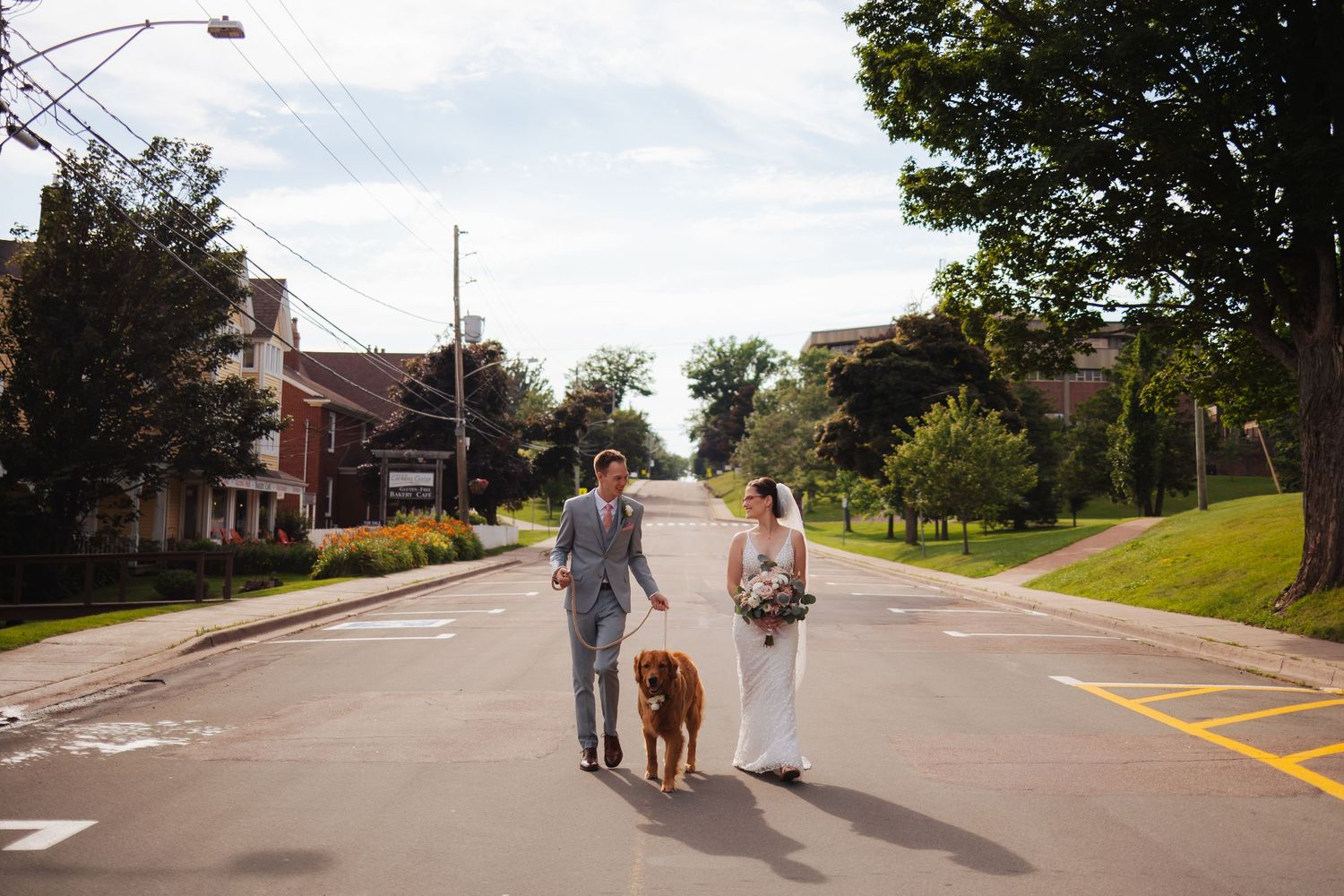 A quiet suburban street scene with trees lining the road.