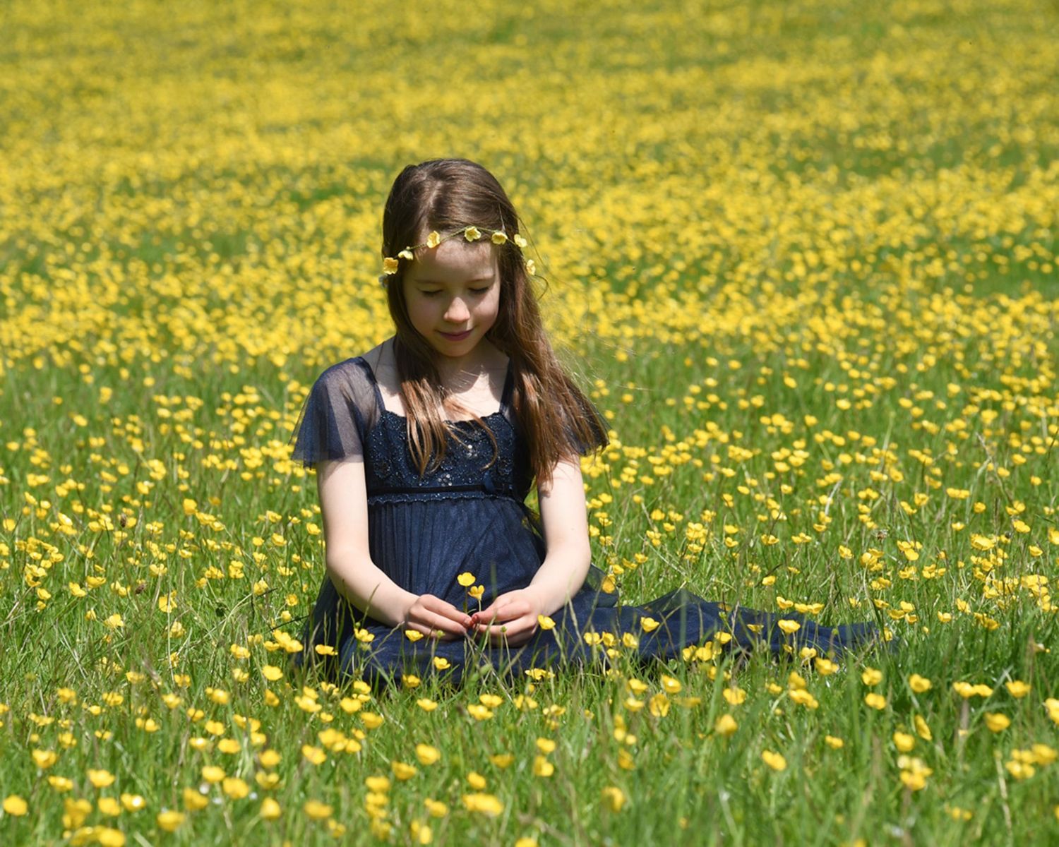 A young girl sits in a field of vibrant yellow flowers, captured in a family portrait by Abigail's Studio, Buckinghamshire.