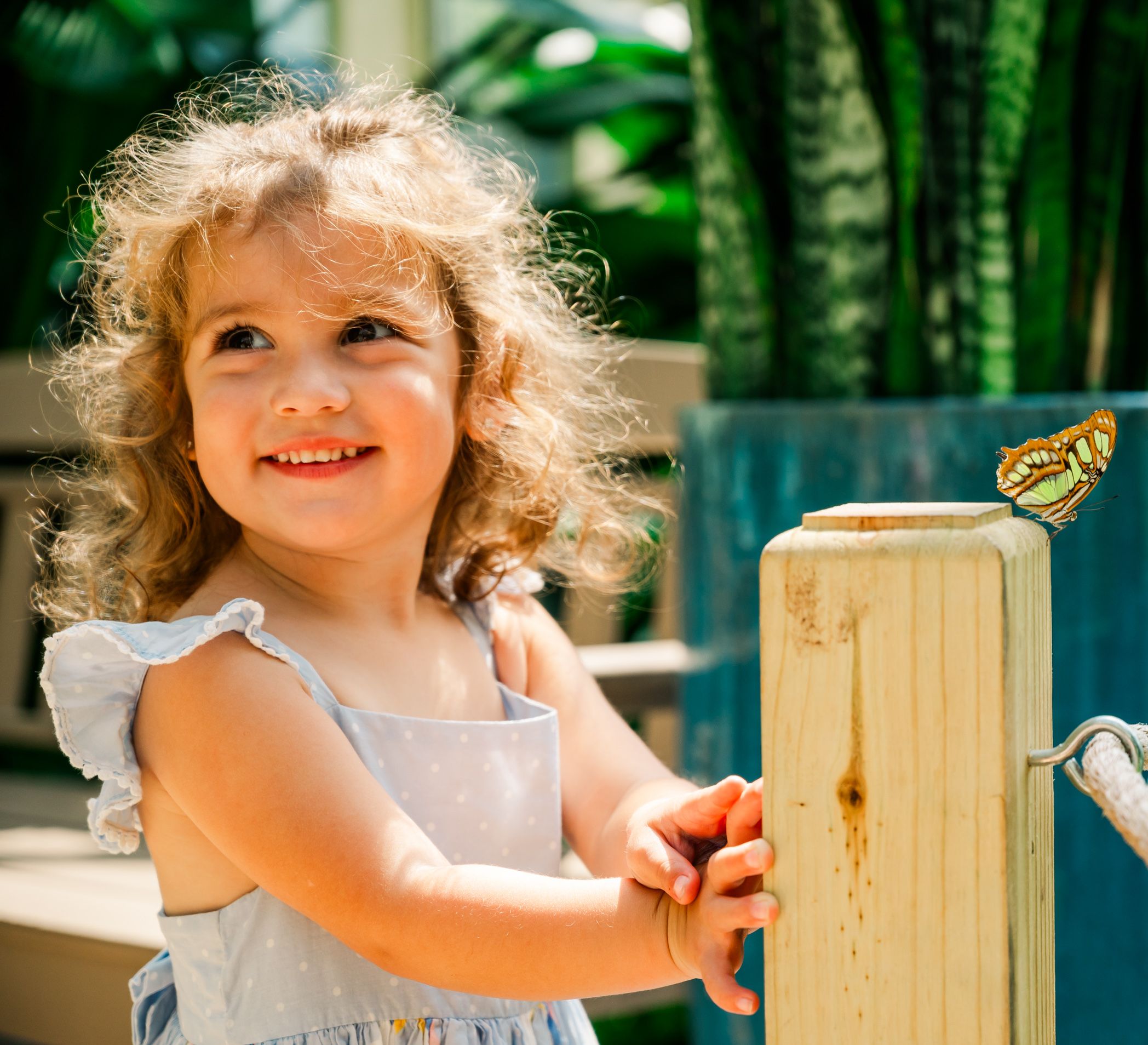 A yellow butterfly lands near a light-colored dress on a bright sunny day with green plants in the background.
