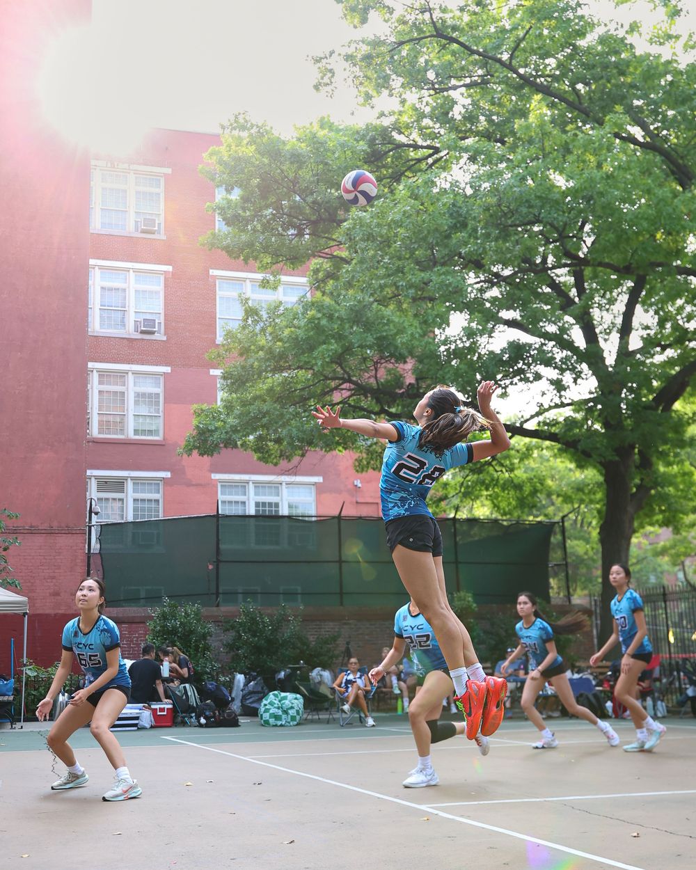 Female volleyball players in blue uniforms compete outdoors on a sunny urban court with trees and brick buildings in background.