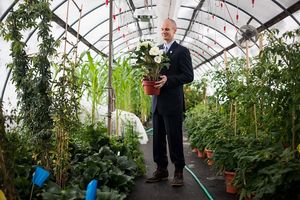 Man in blue suit holding a white potted plant inside a lush green greenhouse.