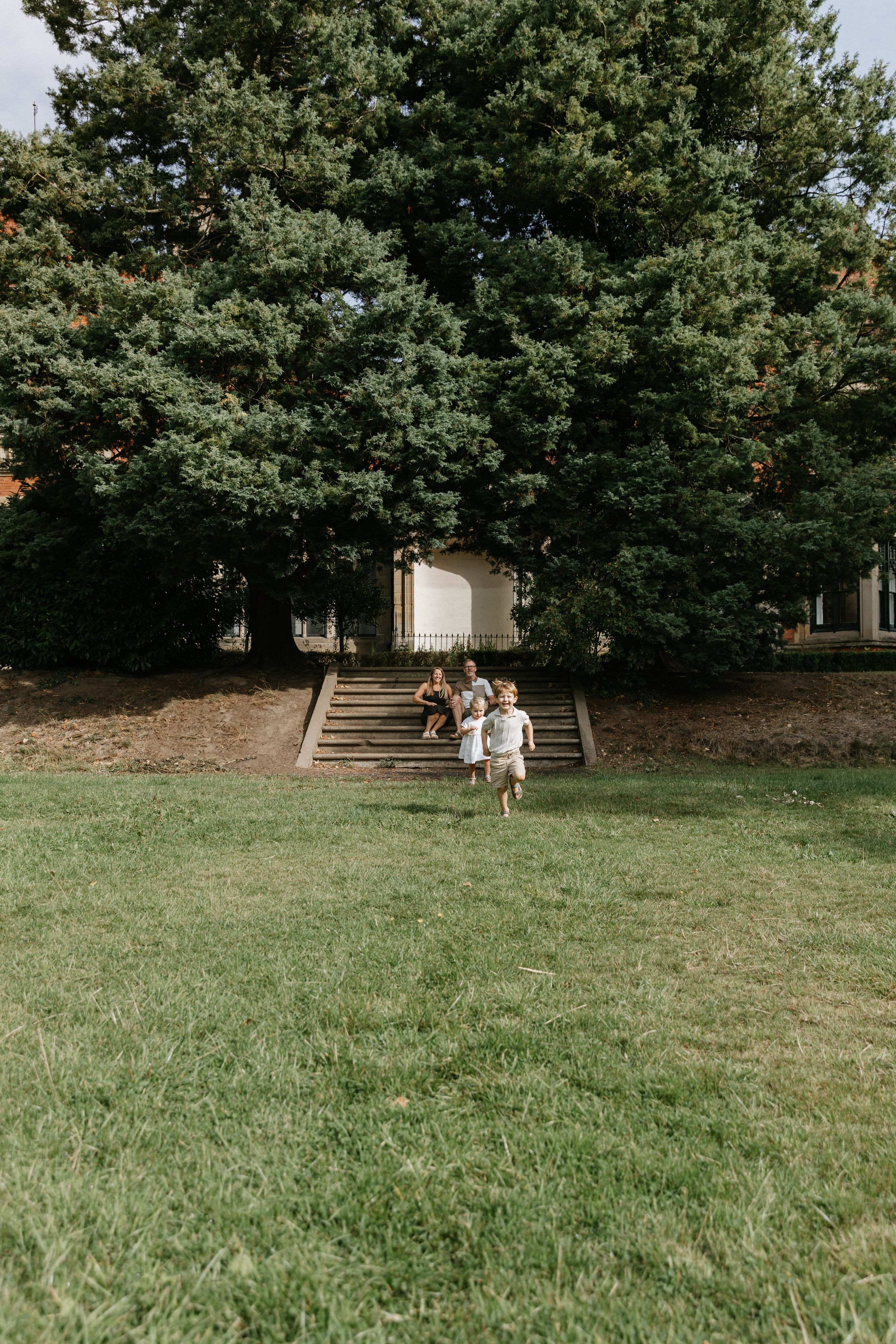 People walk down steps in a grassy outdoor area surrounded by tall evergreen trees on a sunny day.