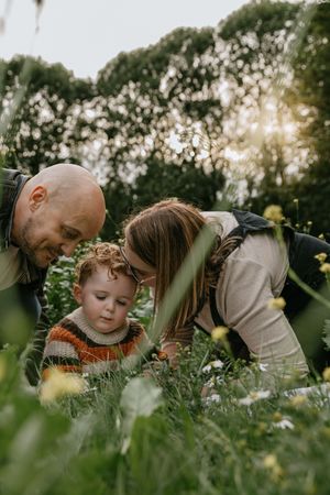 Family explores a wildflower meadow together on a sunny evening in the woods.