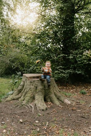 Three sequential photos show a large tree stump in a wooded area being used as a natural play structure.