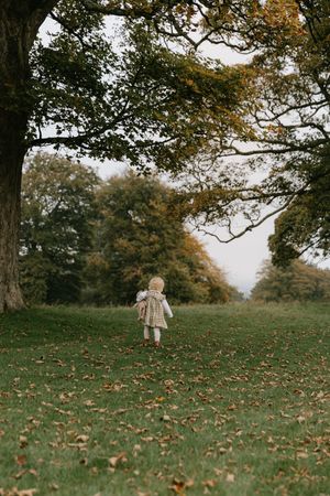 A series of four connected photos showing a grassy autumn hillside with scattered fallen leaves and overhanging tree branches.