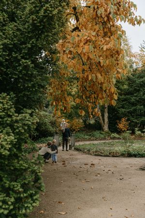 A dirt path winds through a fall garden with golden leaves on tall trees and scattered foliage on the ground.