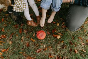 Feet and legs of people standing on autumn ground covered with fallen orange and brown leaves.