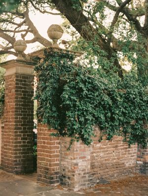 Brick pillars and ornate finials frame an entrance with lush green ivy growing along the wall.