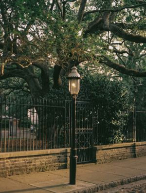 A vintage street lamp post stands beside an iron fence with trees overhead.