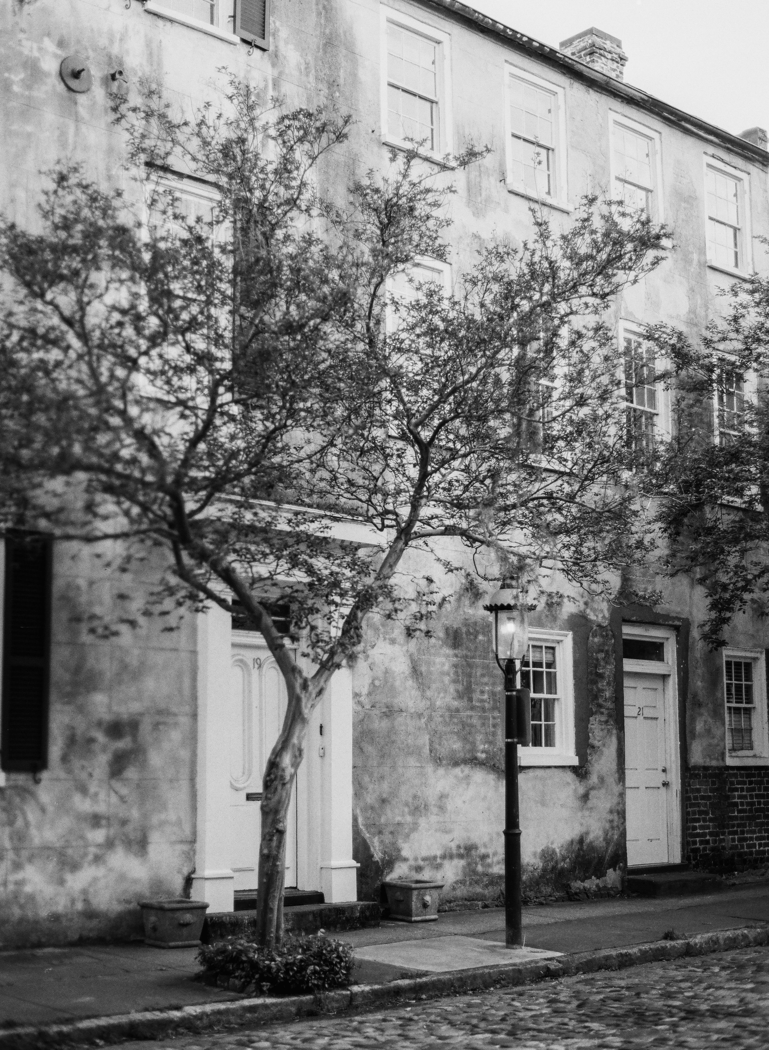 Black and white photo of a historic building facade with thin tree growing against weathered walls.