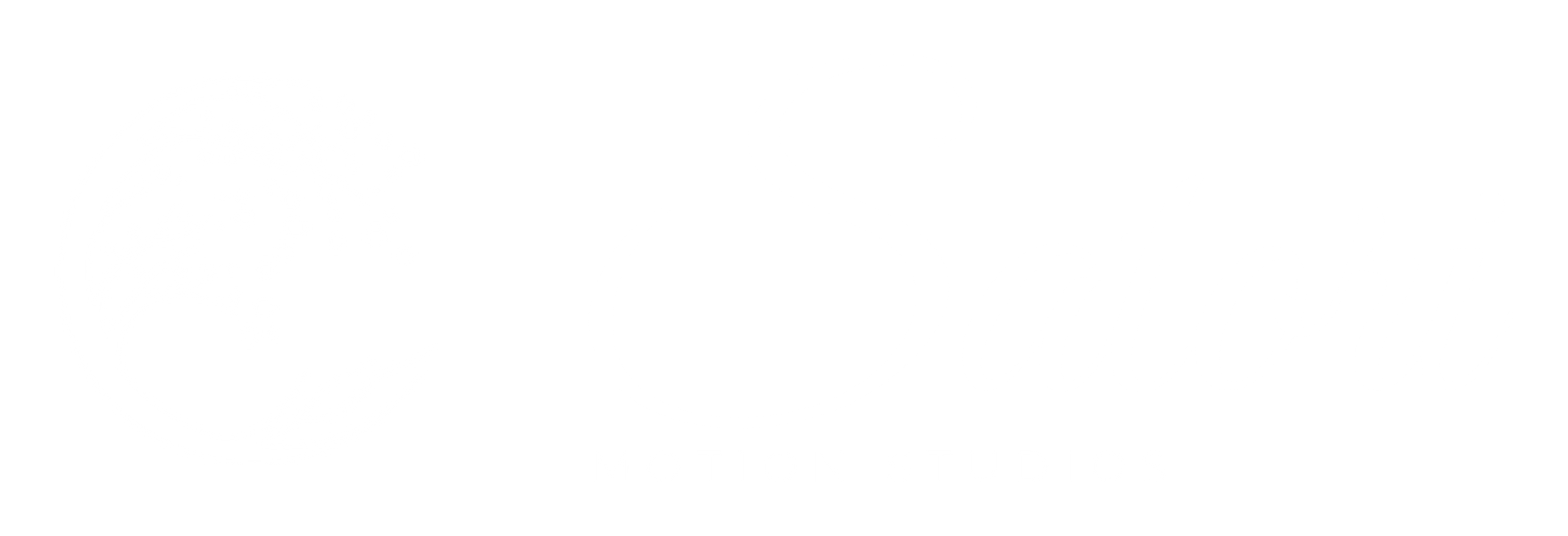 Satori Motion Studios logo mockup