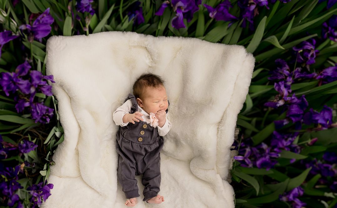 Alberta Newborn & Maternity Photographer
