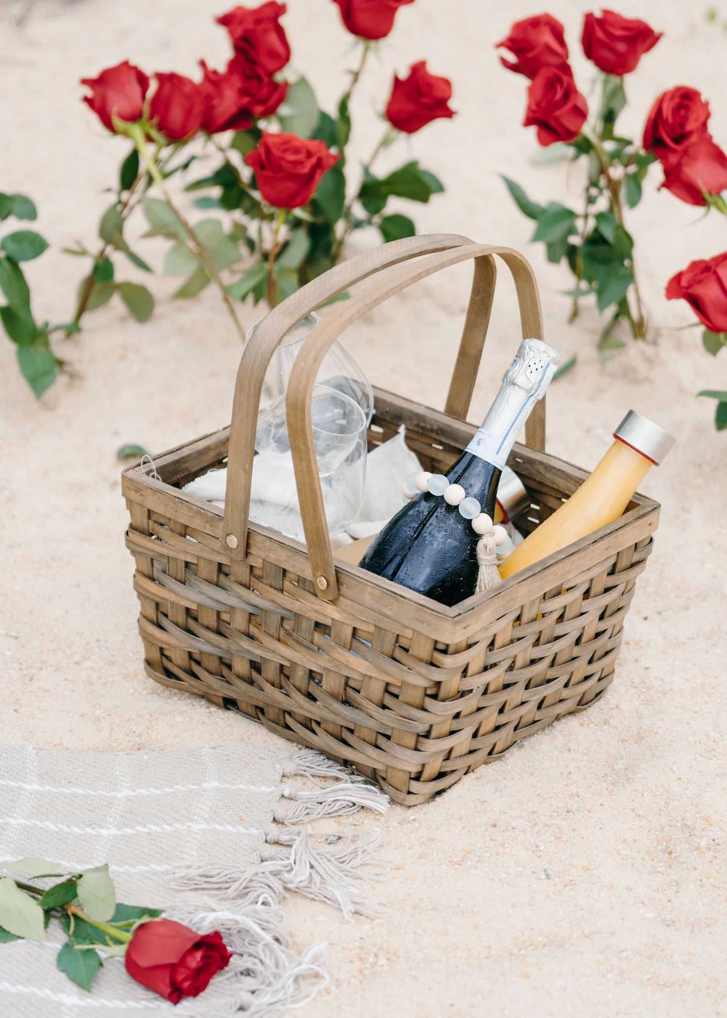 driftwood beach, jekyll island proposal
