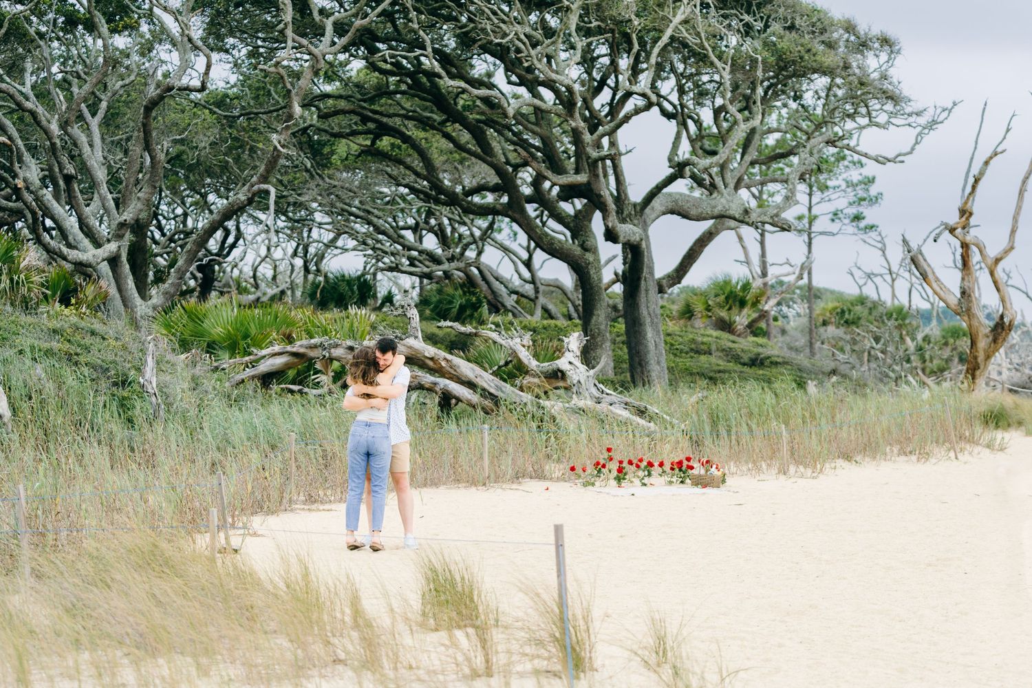 proposal photographer jekyll island, ga, horses on jekyll island