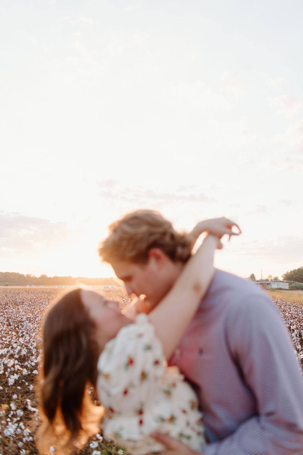 Couple shares intimate moment in cotton field during golden sunset.
