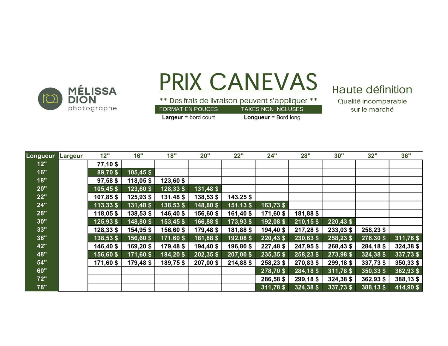 Price chart showing various canvas costs in green and white formatting.