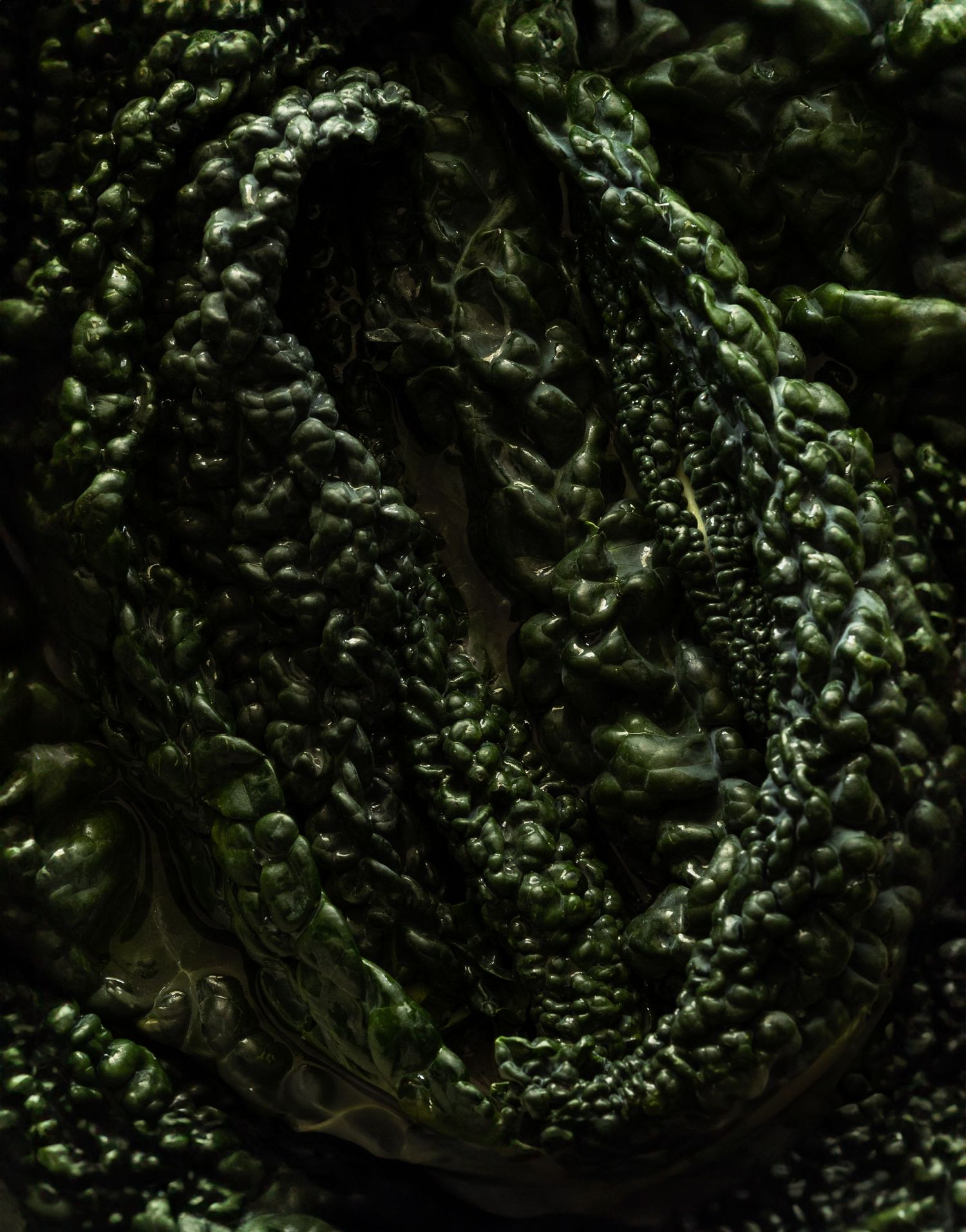 Aubrie Cornelius, headshot, food photographer, food stylist