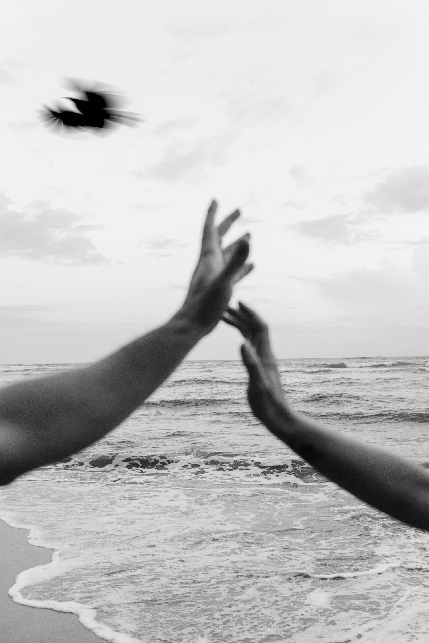 Hands reaching up toward a bird in flight on a black and white beach scene.