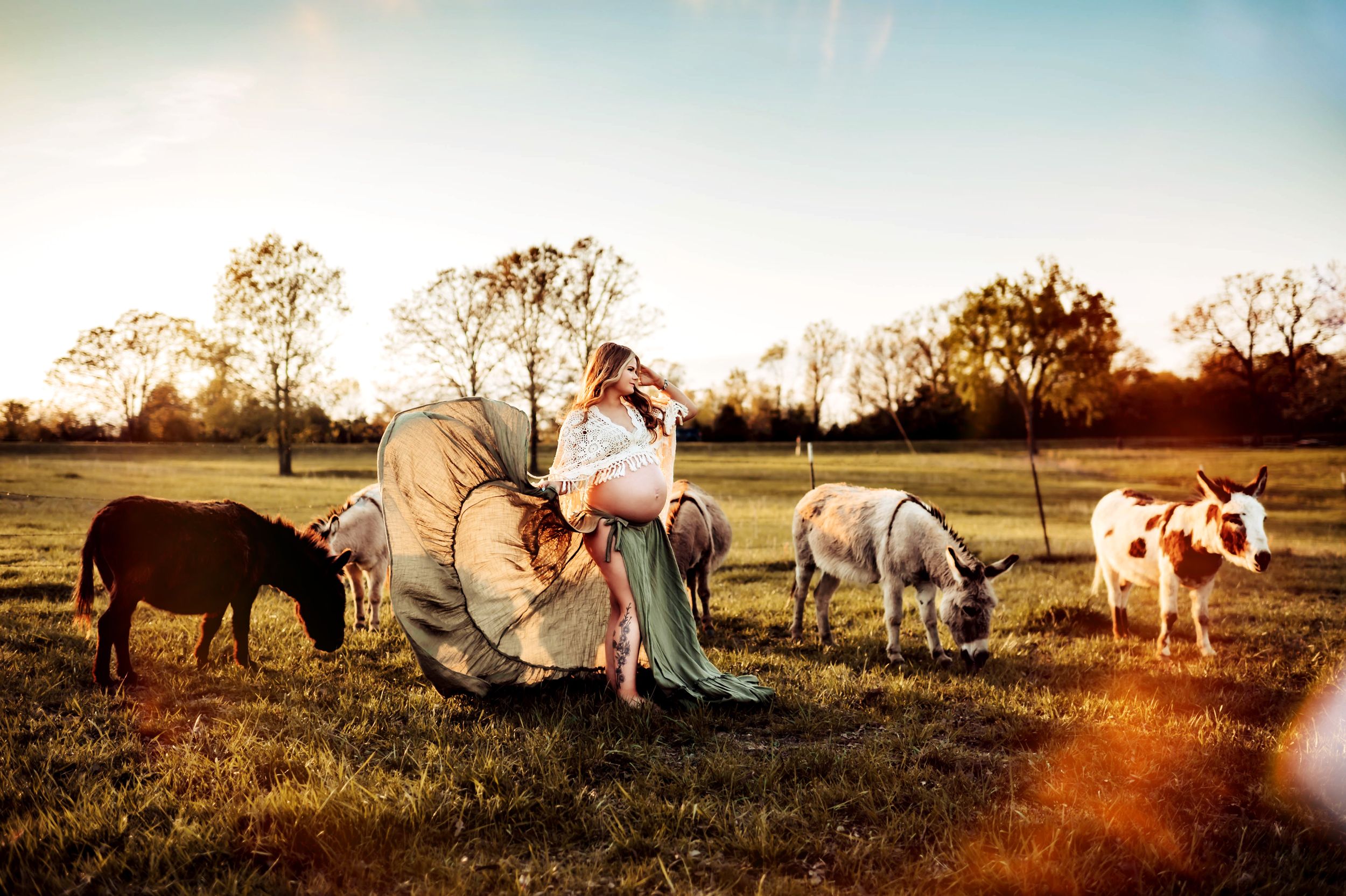 Southwest Missouri Photographer, Cross Timbers MO Photographer, Family Photographer, Maternity Photographer, Newborn Photographer