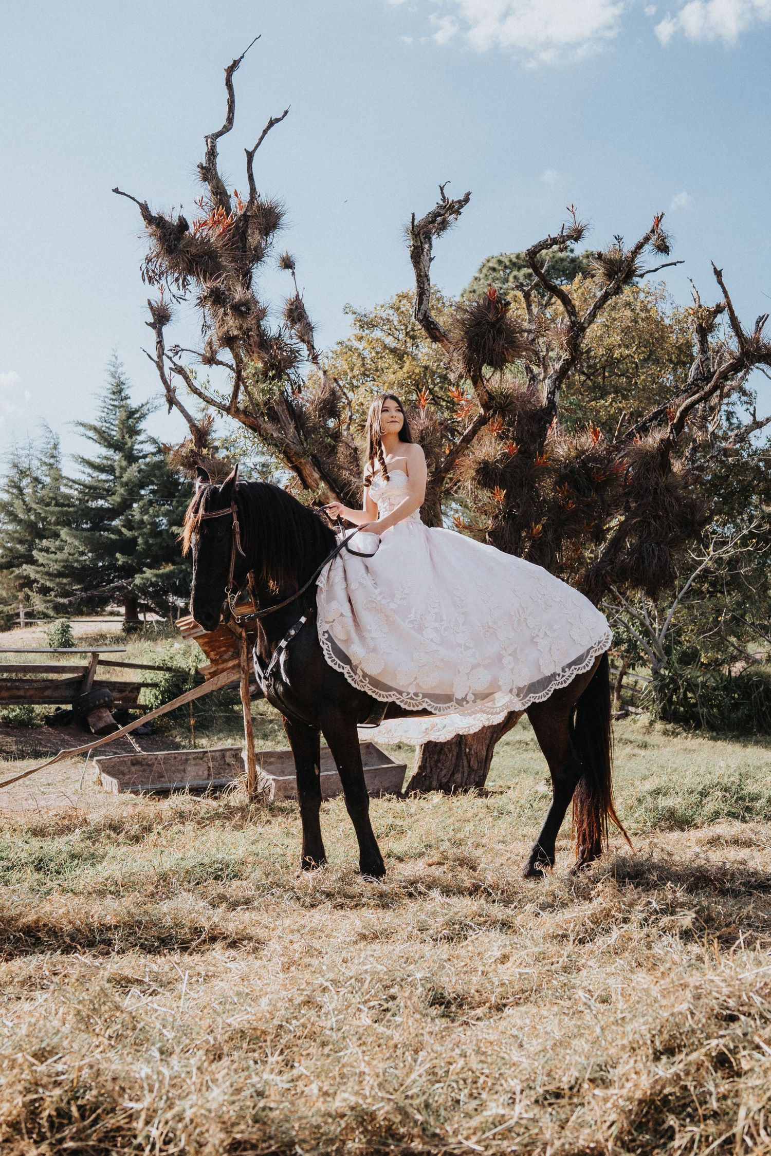 Quinceañera montando a caballo durante su sesión de quince años al aire libre / Quinceañera riding a horse during her outdoor quinceañera