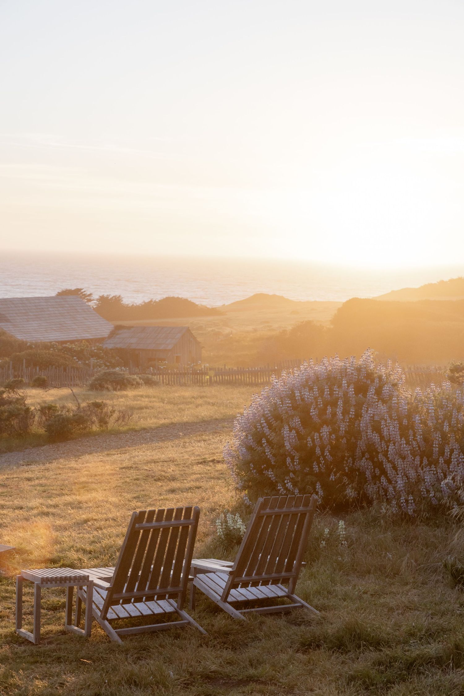 Empty Adirondack chairs line a coastal overlook at sunset with golden light illuminating a scenic mountain landscape.