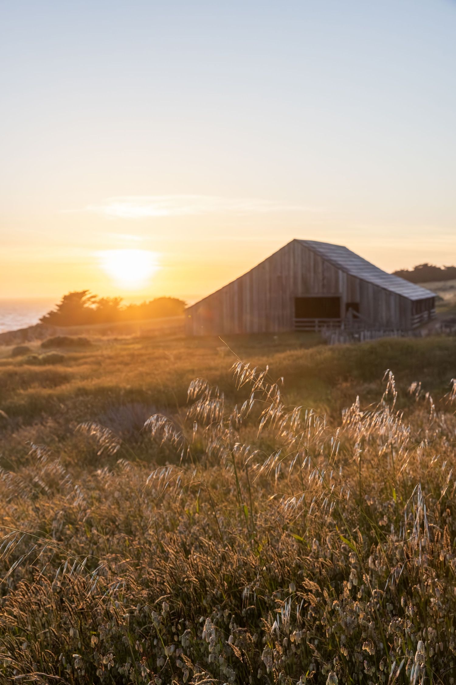 Rustic barn silhouetted against golden sunset with tall grass in foreground and warm evening light across rural landscape.