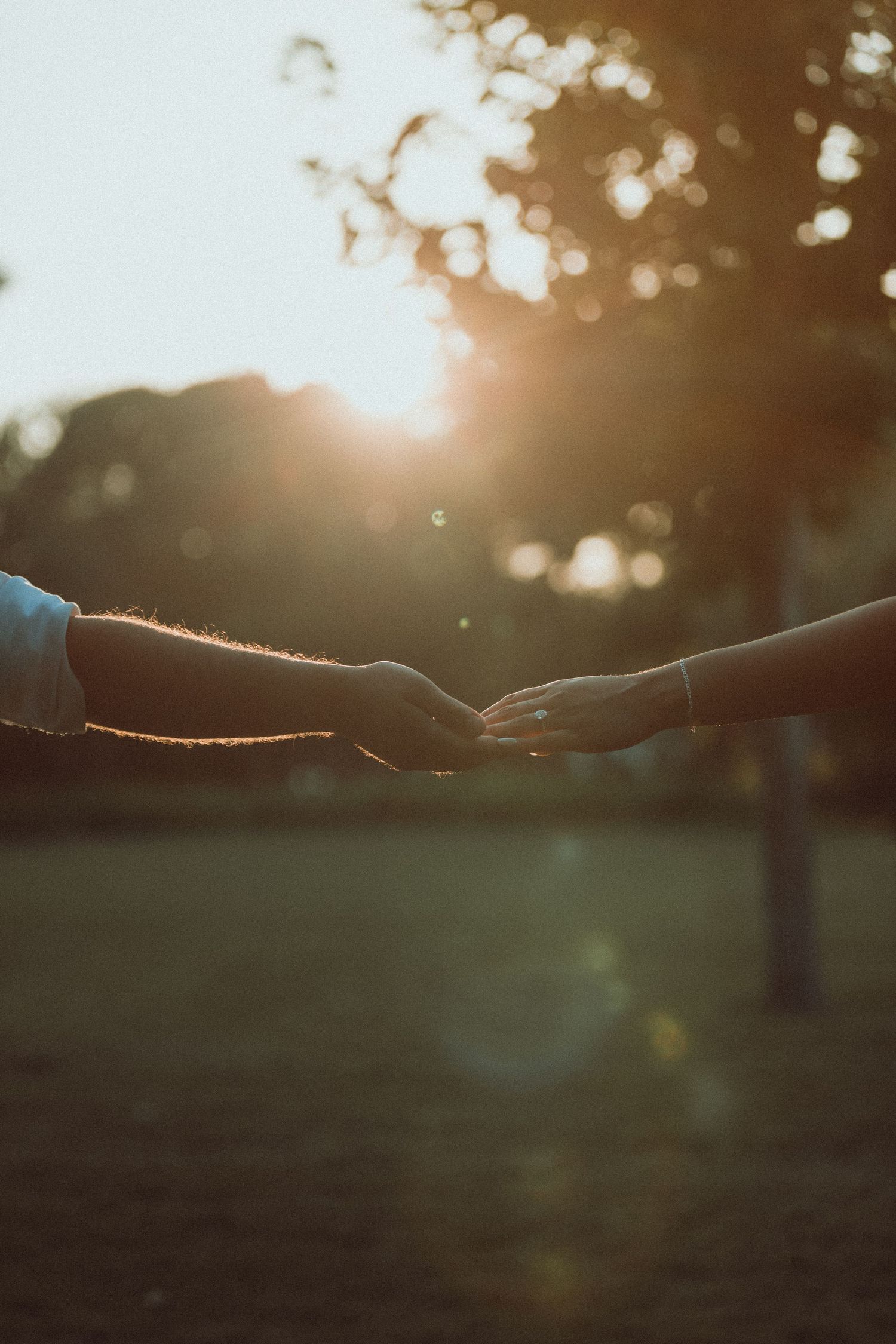 Silhouetted hands reaching across a golden sunset background with lens flare.