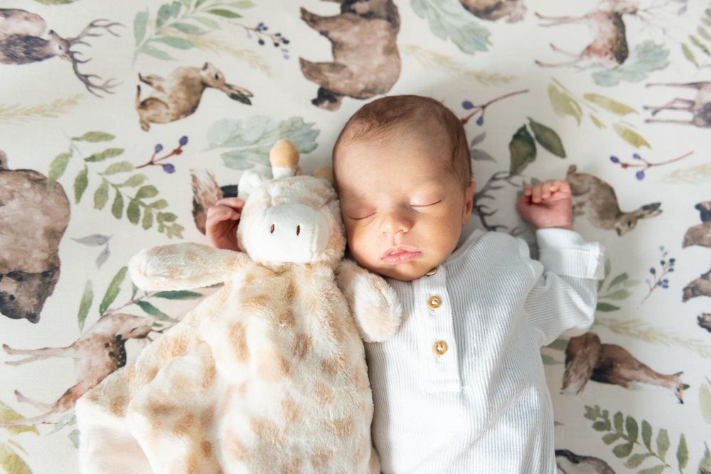 Amy Naomi Photography, North Georgia Fresh 48 and Lifestyle Newborn Photographer