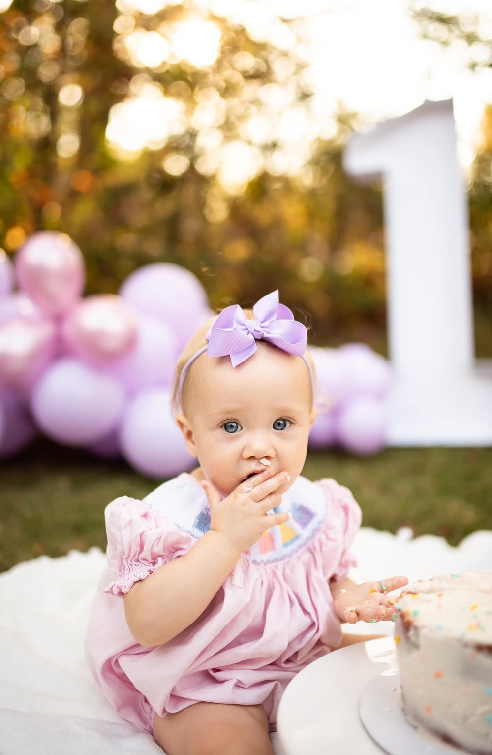 Amy Naomi Photography, North Georgia Baby and Milestone Photographer