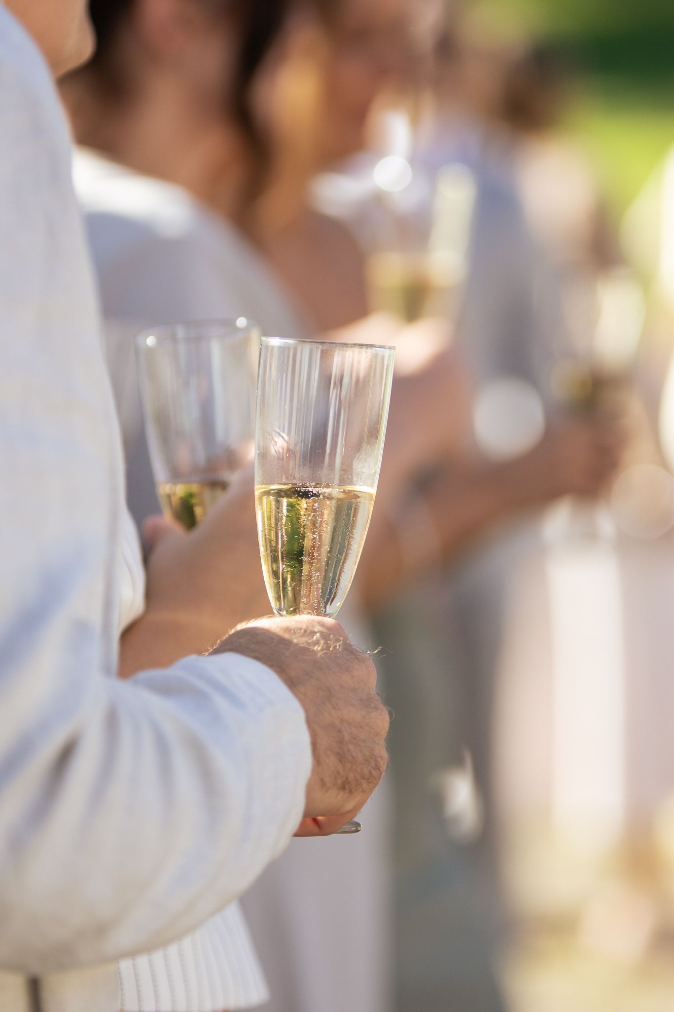 Bröllopsgäster skålar med champagne under bröllopsdagen