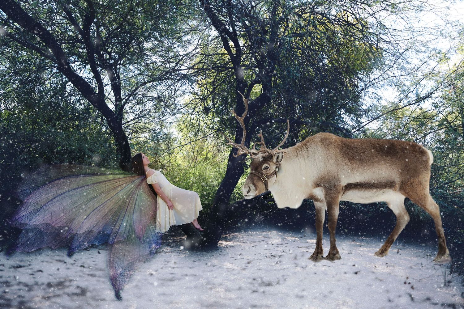 A woman in a fairy costume with iridescent wings stands in a snowy forest beside a reindeer in a magical winter scene.