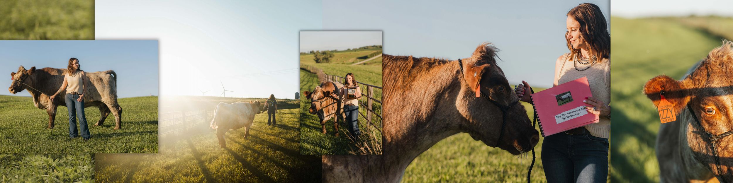 Woman standing with a brown horse in a sunny green field, with a girl holding a pink binder nearby.