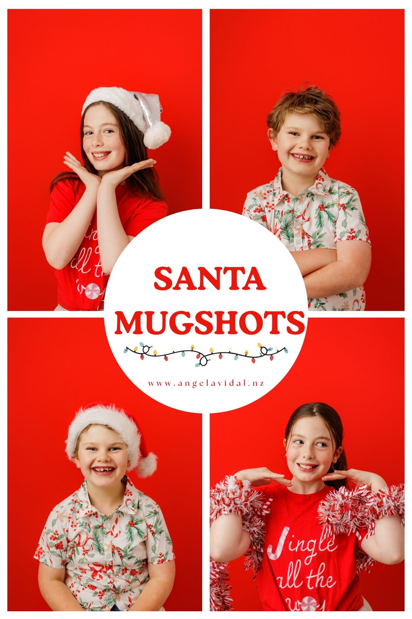 Christmas photos in Wellington and Porirua