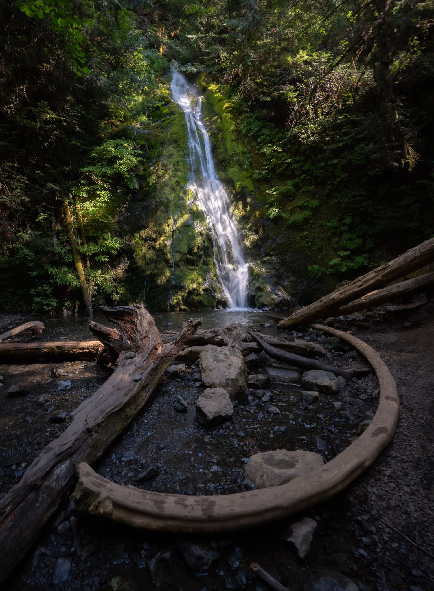 Waterfall in Olympic National Park, Washington.