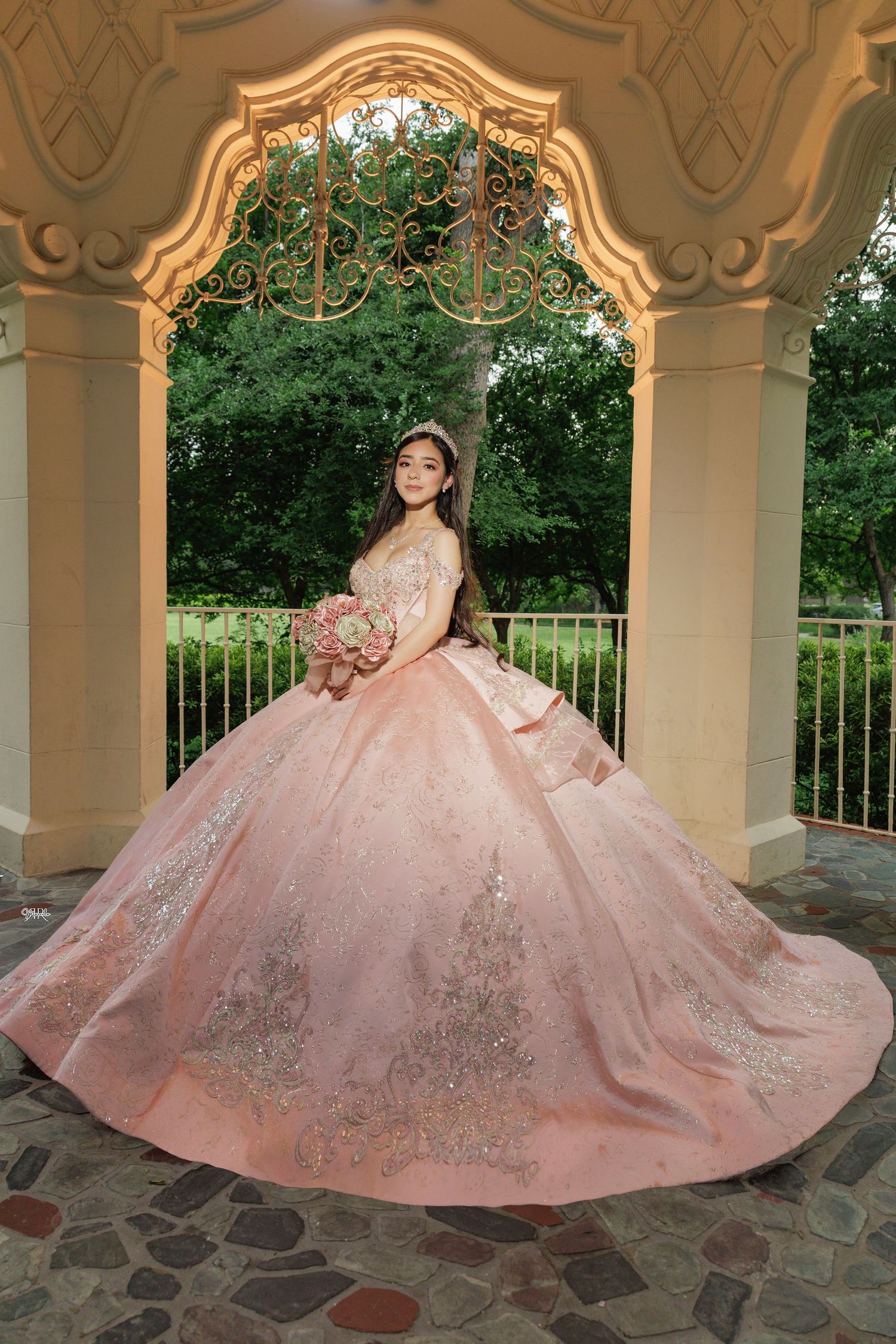 Quinceañeras, Weddings, corporate events, family Photography ande video. Dallas TX 469-386-2555 Bilingual (Spanish & English)