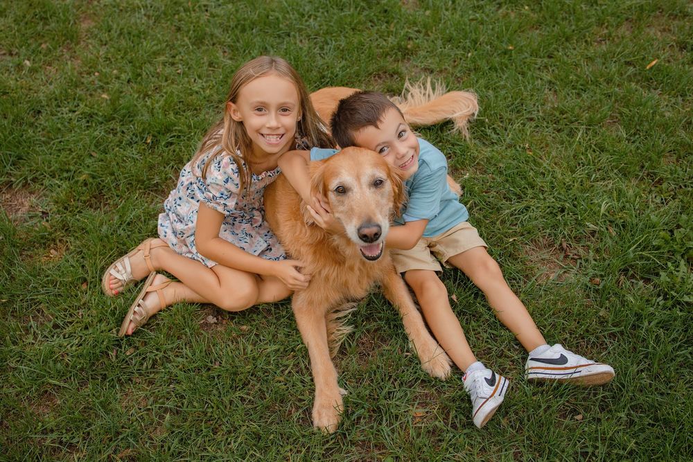Family backyard photos Waukesha County family photographer
