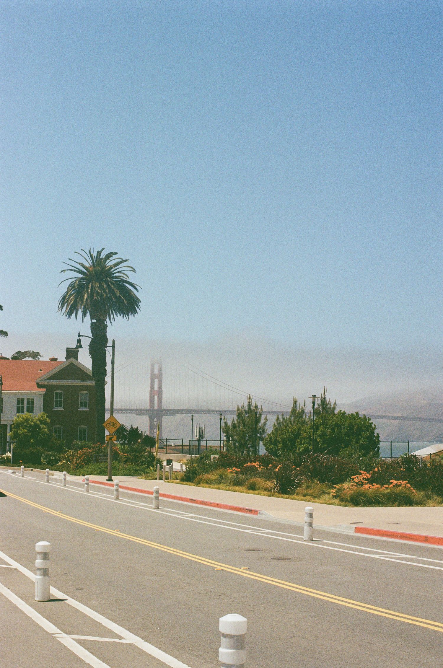 Road leading to the Golden Gate Bridge in San Francisco, with a palm tree and light fog on a clear day.