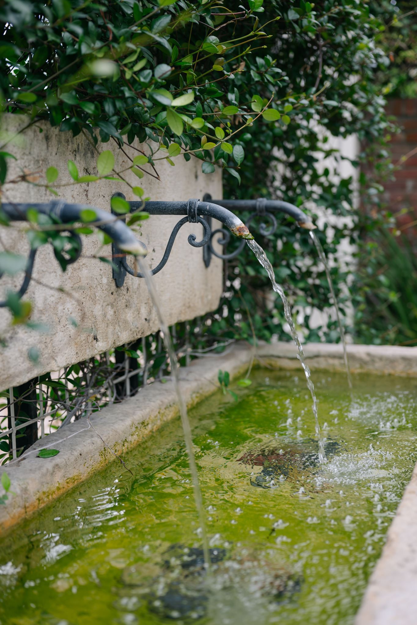 Close up of water fountains in a garden.