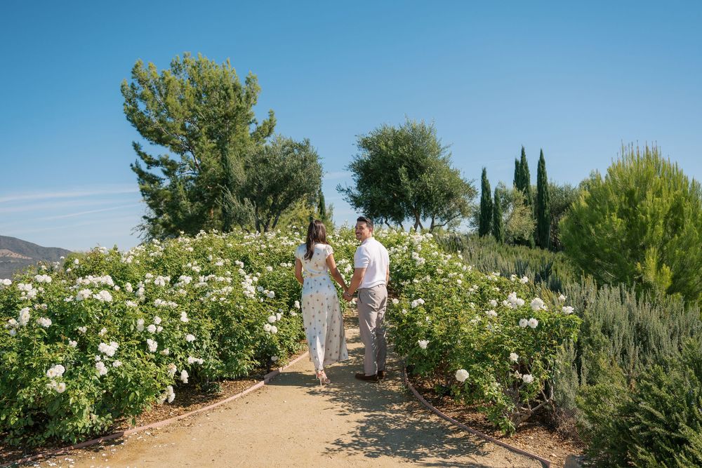 Couple holding hands on a garden path surrounded by white roses and lush greenery under a clear blue sky.