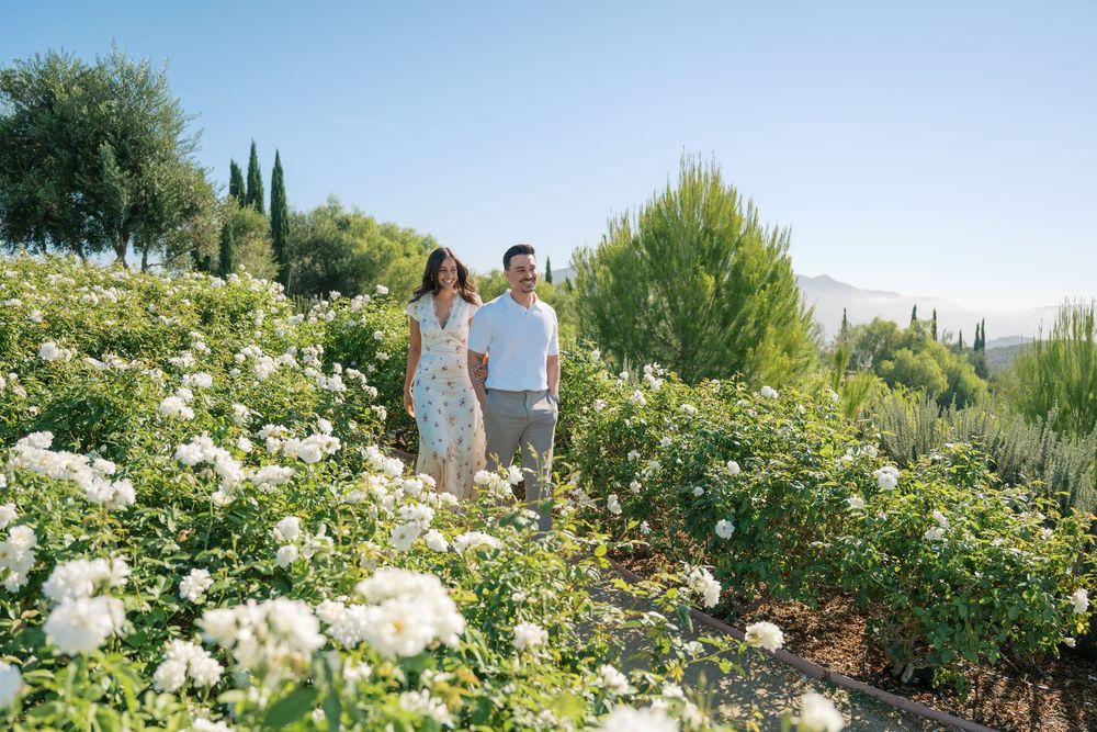 Couple walking hand in hand through a lush white rose garden with cypress trees and mountains in the background.