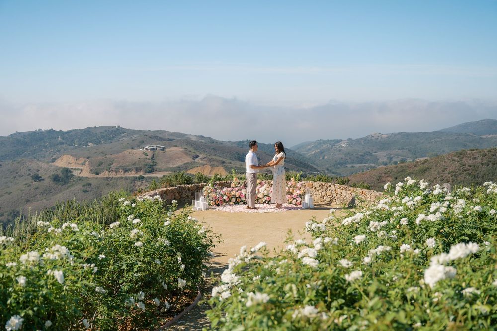 Couple holding hands at a scenic mountain overlook surrounded by white flowers under a clear blue sky.