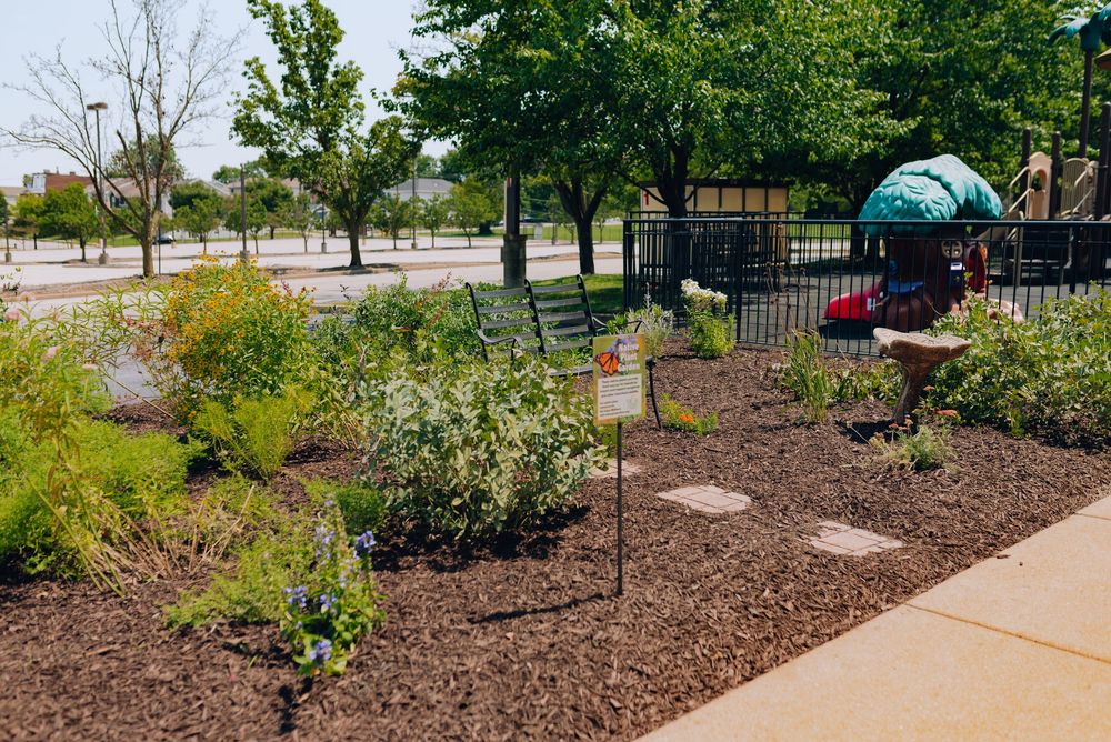 A lush community garden with mulched beds, flowering shrubs, and stepping stones beside a playground in a sunny urban park.